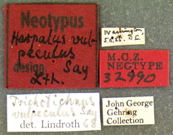 Media type: image;   Entomology 32990 Aspect: labels